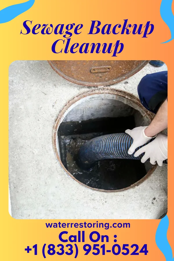 Sewage Backup Cleanup in Brookfield Center, OH