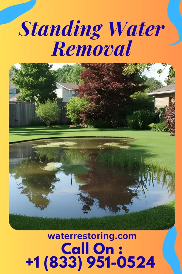 Standing Water Removal in Brookfield Center, OH